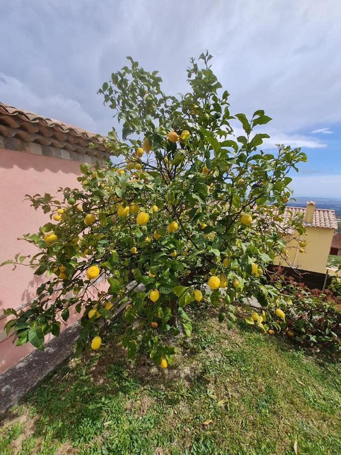 Adorable Maison Independante 30M2 Avec Piscine En Saison Cabris Exteriör bild